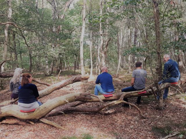 Systemisch werk in de natuur