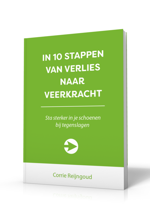 Van verlies naar Veerkracht Corrie Reijngoud