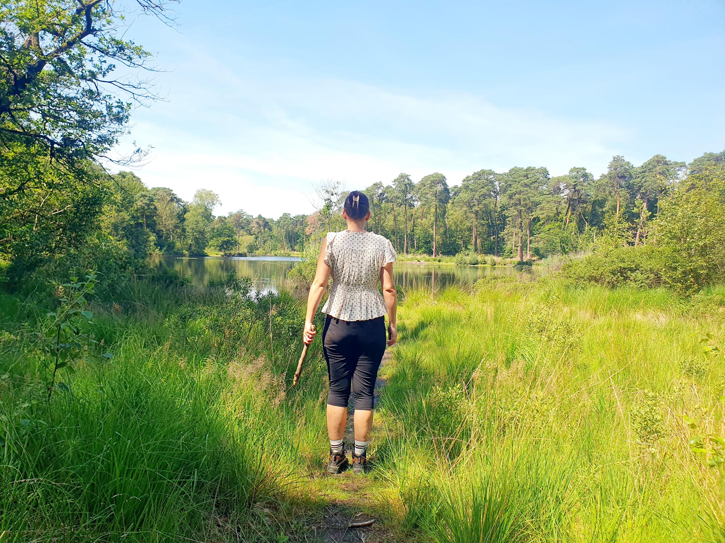 Wandelcoaching helpt bij stress, burn-out en persoonlijke ontwikkeling.