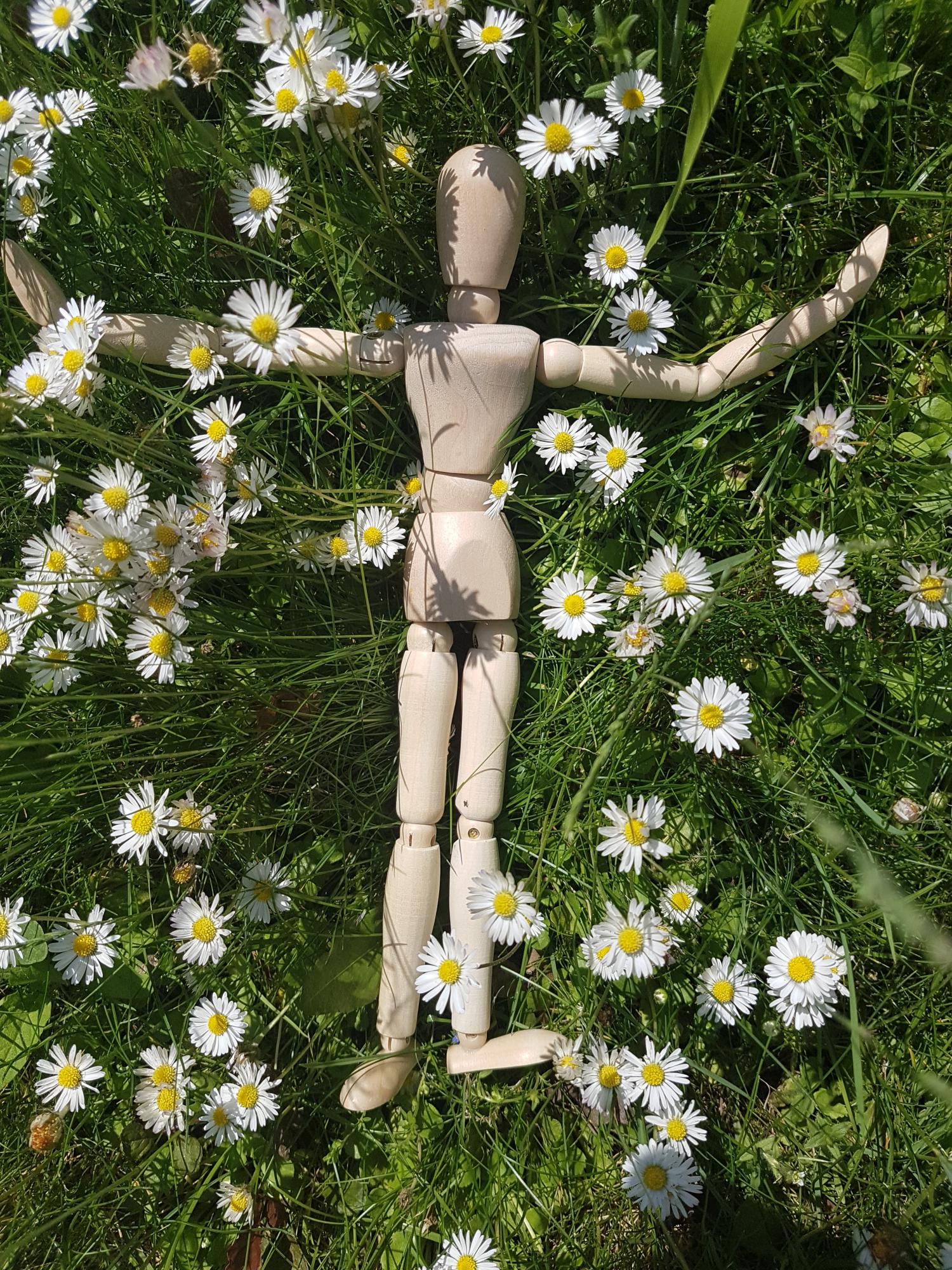 Ontspannen in de natuur en languit in het gras